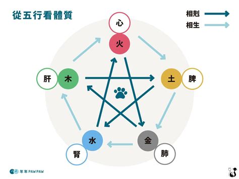 寵物五行|【寵物五行專欄】木屬性毛小孩健康問題一網打盡